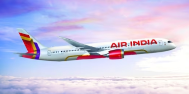 air india airlines logo