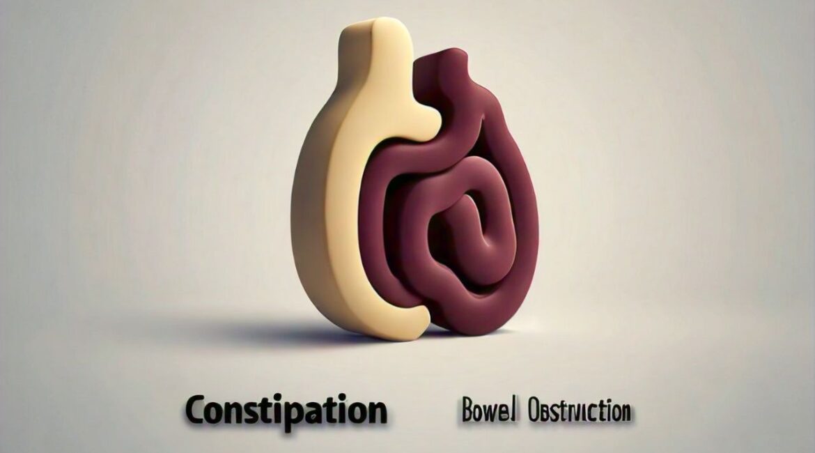 Constipation and Bowel Obstruction